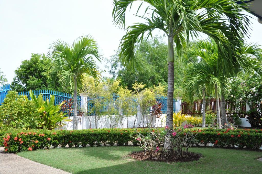 Olivia Resort Serviced Apartments And Bungalows Panglao Zimmer foto